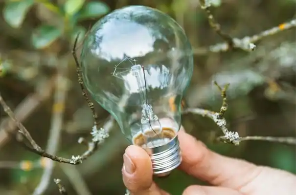 Mano sosteniendo una bombilla transparente entre ramas que simbolizan la innovación sostenible.
